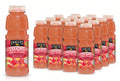 Langers Watermelon Fruit Punch 12/16oz LANG16