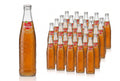 Jarritos Sidral Mundet 24/12.5oz (370ml)