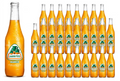 Jarritos Mango 24/12.5oz (370ml)