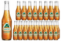Jarritos Tamarind 24/12.5oz (370ml)